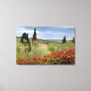 Impressão Em Tela Vinícola perto de Montalcino, Toscana, Itália