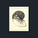 Impressão Em Tela Vintage Black and White Conch Shell<br><div class="desc">Obtenha esta única imagem de concha branca e preta no seu próximo produto. Este incrível fundo de sépia com um Conch Negro e Branco parecerá excelente em qualquer coisa. Leve a praia com você para onde quer que vá.</div>