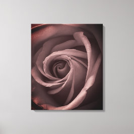 Impressão Em Tela Vintage Blush Rosa