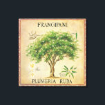 Impressão Em Tela Vintage Botaneria Plumeria Tree Art Deco<br><div class="desc">Vintage Botanical Plumeria Frangipani Tree Art Deco. Faria um adorável deco de parede para a sua cozinha ou área de jantar.</div>
