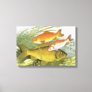 Impressão Em Tela Vintage Goldfish Koi Fish, Marinho Aquático Vida M