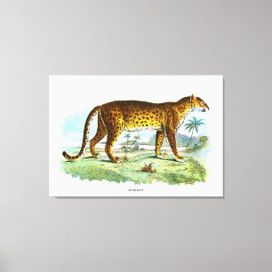 Impressão Em Tela Vintage Leopard Animal Illustration