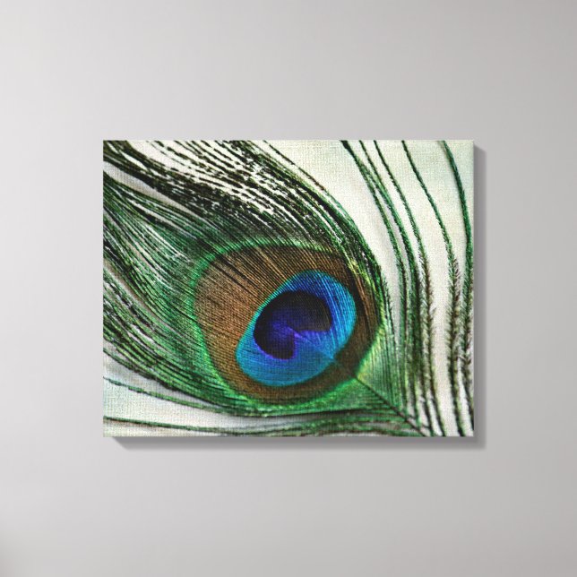 Impressão Em Tela Vintage Peacock Feather (Frente)