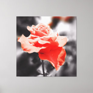 Impressão Em Tela Vintage Rosa