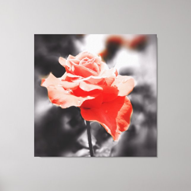 Impressão Em Tela Vintage Rosa (Frente)