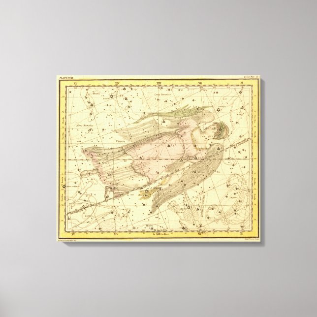 Impressão Em Tela Virgem (Frente)