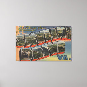 Impressão Em Tela Virgínia - movimentação do Céu-Line (parque