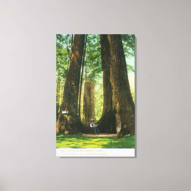 Impressão Em Tela Visão de Gêmeos Sequoias na Grande Árvore (Frente)