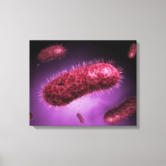 Impressão Em Tela Visão Microscópica Das Bactérias 2 (Frente)