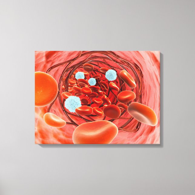 Impressão Em Tela Visão Microscópica De Dentro De Fluxo De Sangue E  (Frente)