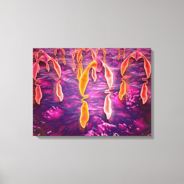 Impressão Em Tela Visão Microscópica De Ligadura Vinculando A Um Rec (Frente)