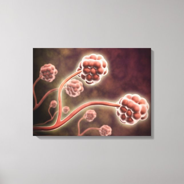 Impressão Em Tela Visão Microscópica De Stachybotrys Chartarum (Frente)