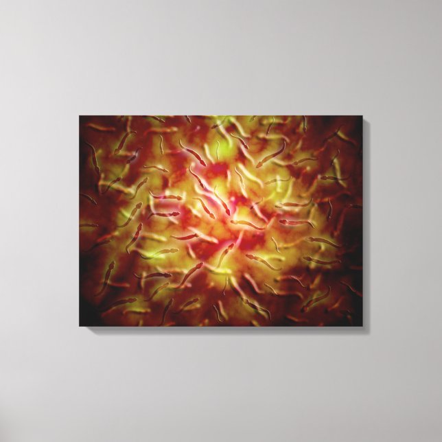 Impressão Em Tela Visão Microscópica Do Esperma (Frente)