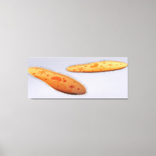 Impressão Em Tela Visão Microscópica Do Paramécio 4