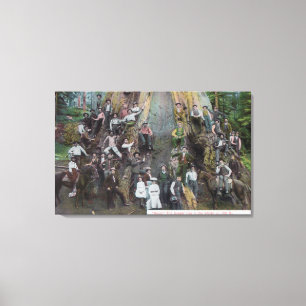 Impressão Em Tela Vista de Boole, a maior árvore do mundo