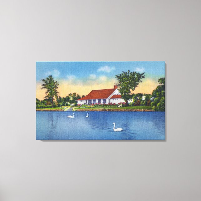 Impressão Em Tela Vista de Hoopes Park Swans no lago (Frente)