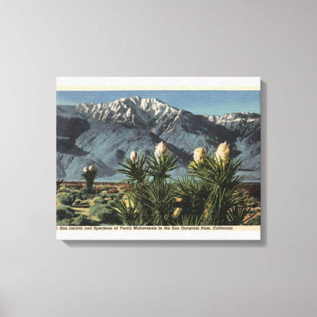 Impressão Em Tela Vista do Monte San Jacinto, Yucca Mohavensis (Frente)