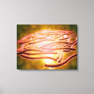 Impressão Em Tela Vista microscópica de Legionella Pneumophila 2