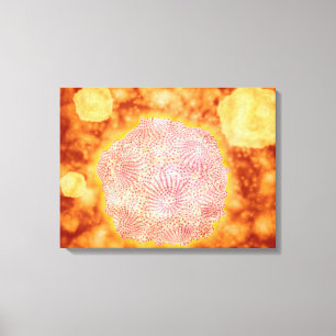 Impressão Em Tela Vista microscópica de Parvovirus canino 1