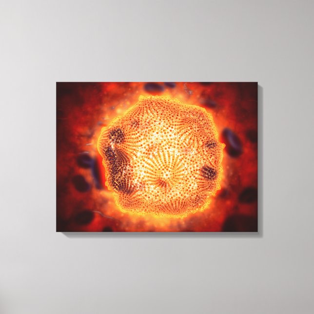 Impressão Em Tela Vista Microscópica Do Parvovírus Canino 4 (Frente)