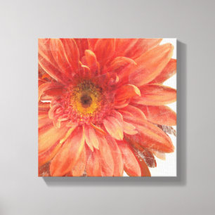 Impressão Em Tela Vivid Daisy 3