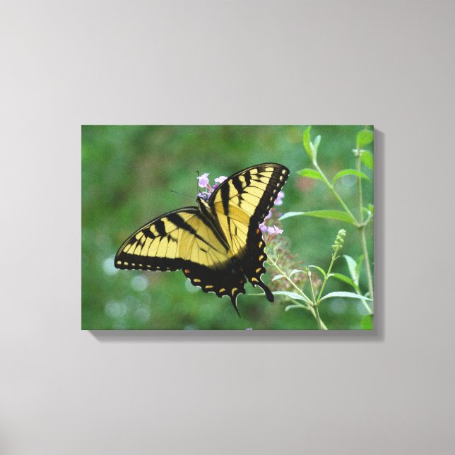 Impressão Em Tela Voadores de Verão! (Frente)