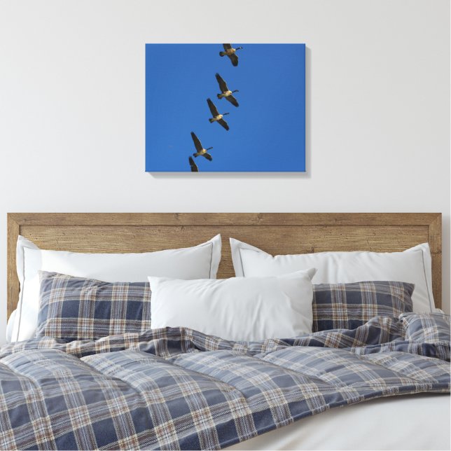 Impressão Em Tela Voando (Insitu(Quarto))