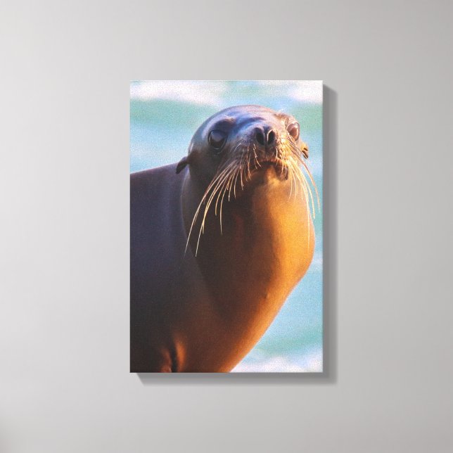 Impressão Em Tela Você É Mad Bro? (Frente)