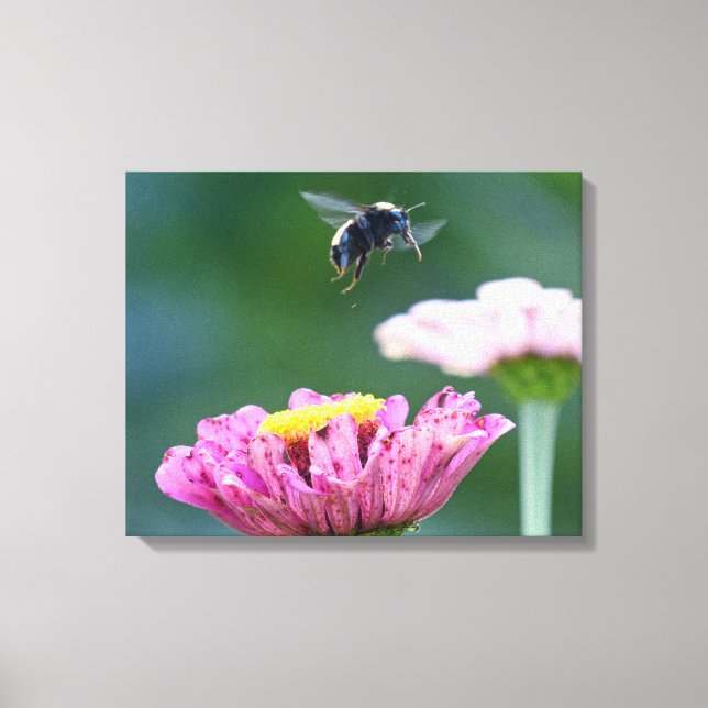 Impressão Em Tela Voo da Bumblebee (Frente)