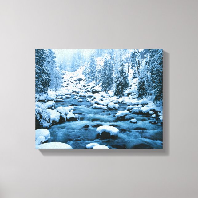 Impressão Em Tela WA, Floresta Nacional Wenatchee, Cascade (Frente)