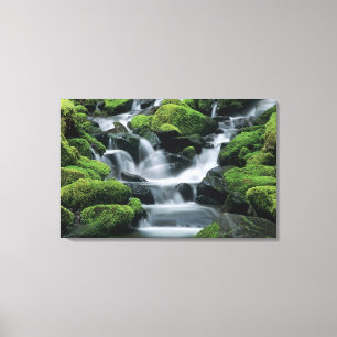 Impressão Em Tela WA, Parque Nacional Olímpico, Vale de Sol Duc, ria