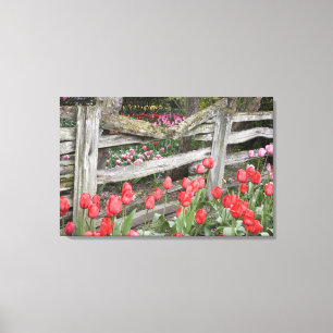 Impressão Em Tela WA, Vale de Skagit, Jardim de Tulipas Roozengaarde
