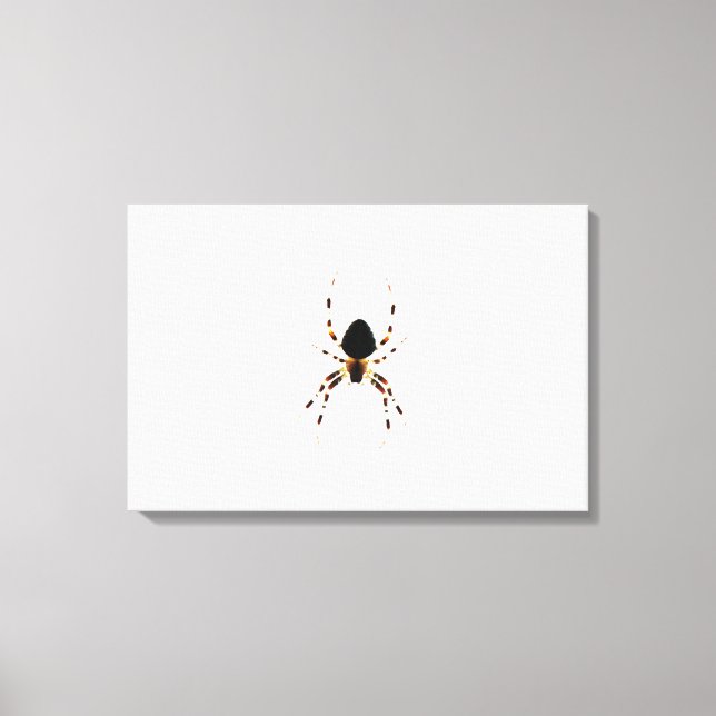 Impressão Em Tela Wacna Spider 24x16 (60x40cm) (Frente)