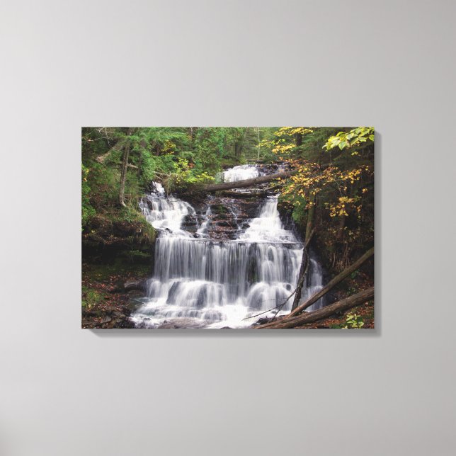 Impressão Em Tela Wagner Falls tela de impressão (Frente)