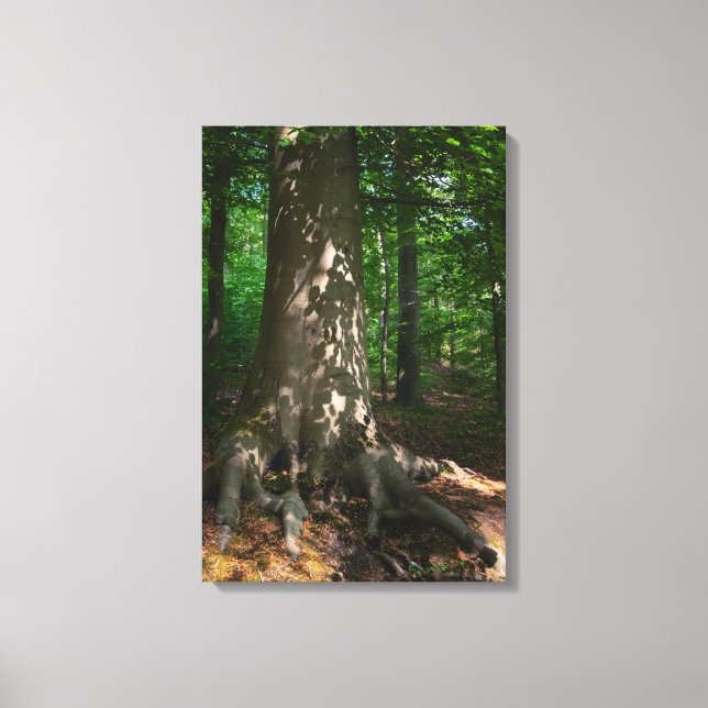 Impressão Em Tela Waldimpression (Frente)