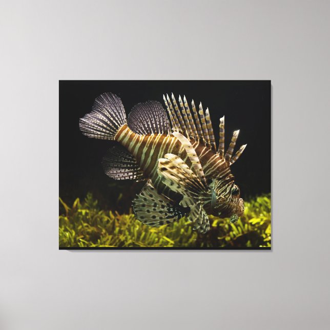 Impressão Em Tela Wall Art (Frente)