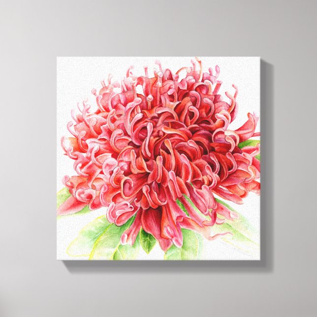 Impressão Em Tela Waratah Red Flor Botanica Art (Frente)