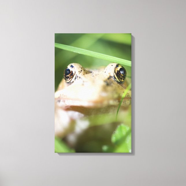 Impressão Em Tela Washington, EUA 2 (Frente)