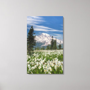 Impressão Em Tela Washington, Parque Nacional Mount Rainier 1