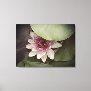 Impressão Em Tela Water Lilly, Lotus Photoics Wall Art