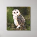 Impressão Em Tela Western Barn Owl - Imigração de Pintura de Cores d<br><div class="desc">Western Barn Owl - Pássaro da Floresta Bonita de Pintura por Aquarela</div>