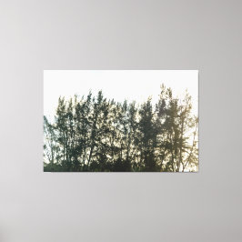 Impressão Em Tela Whispering Pines of Taquari