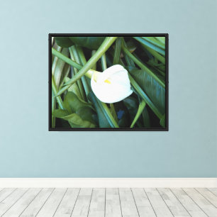 Impressão Em Tela White Calla Lily e Folhagem Verde Fotográfica