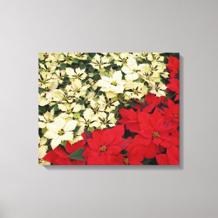 Impressão Em Tela White e Red Poinsettias I Feriado Floral