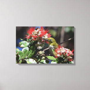 Impressão Em Tela White-eye japonês