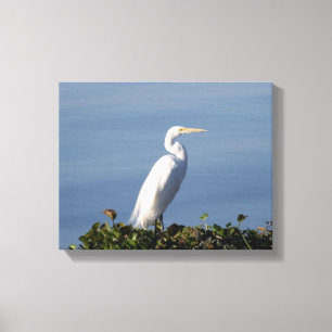 Impressão Em Tela White Heron em Lilypads