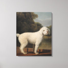 Impressão Em Tela White Poodle in a Punt (por George Stubbs)