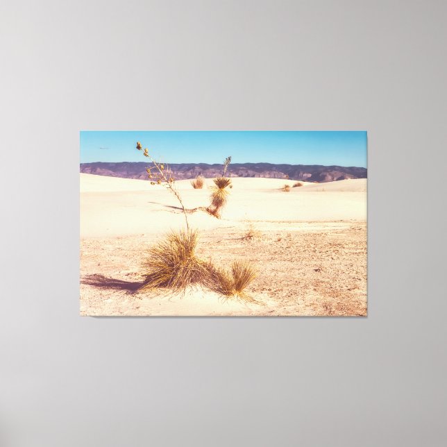 Impressão Em Tela White Sand Yuccas (Frente)