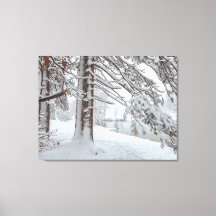 White Winter