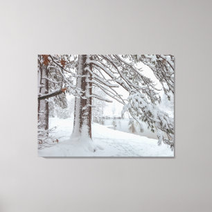 Impressão Em Tela White Winter